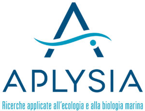 Aplysia 